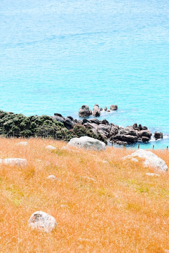 black and gray rocks on seashore during daytime in Mount Maunganui New Zealand