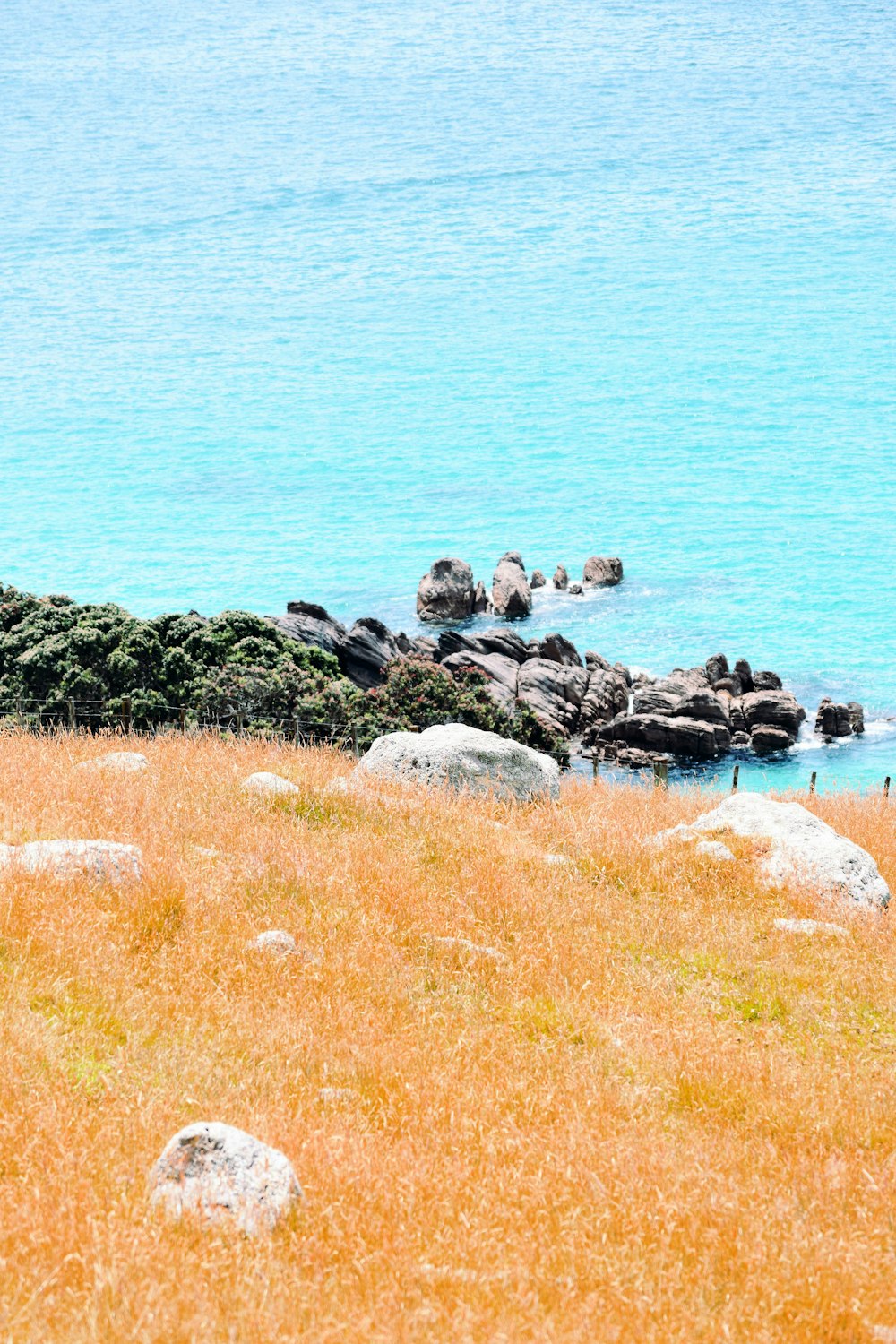 roches noires et grises sur le bord de la mer pendant la journée