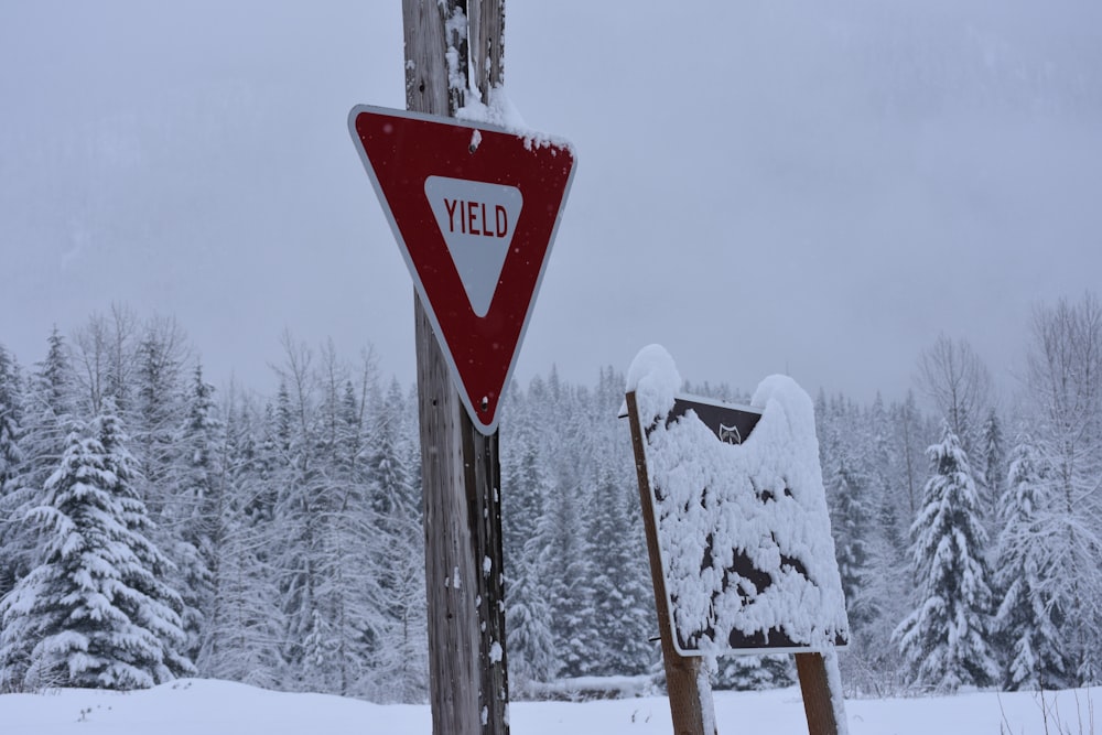 red and white stop sign