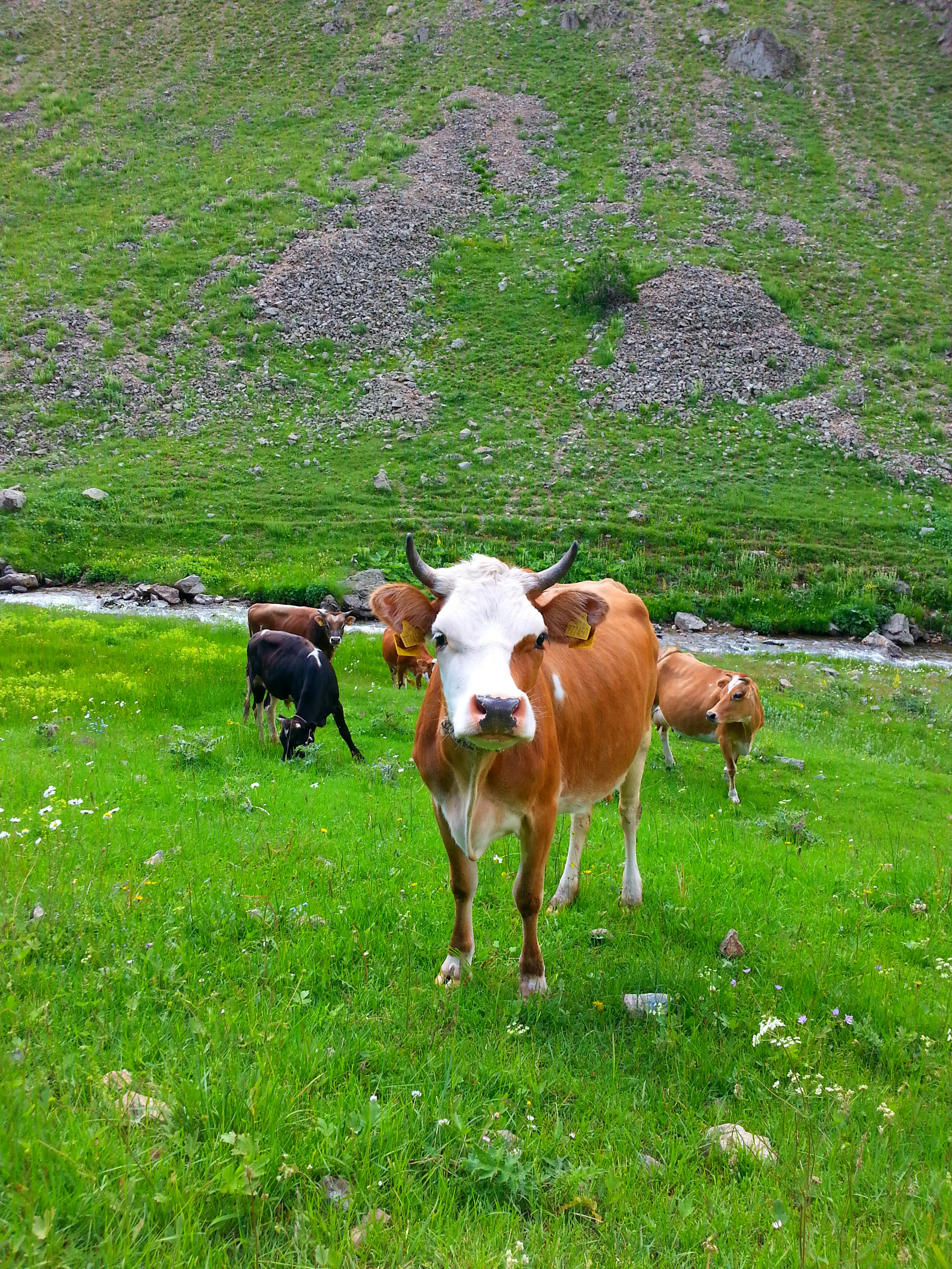 Photo by nurallah_tr