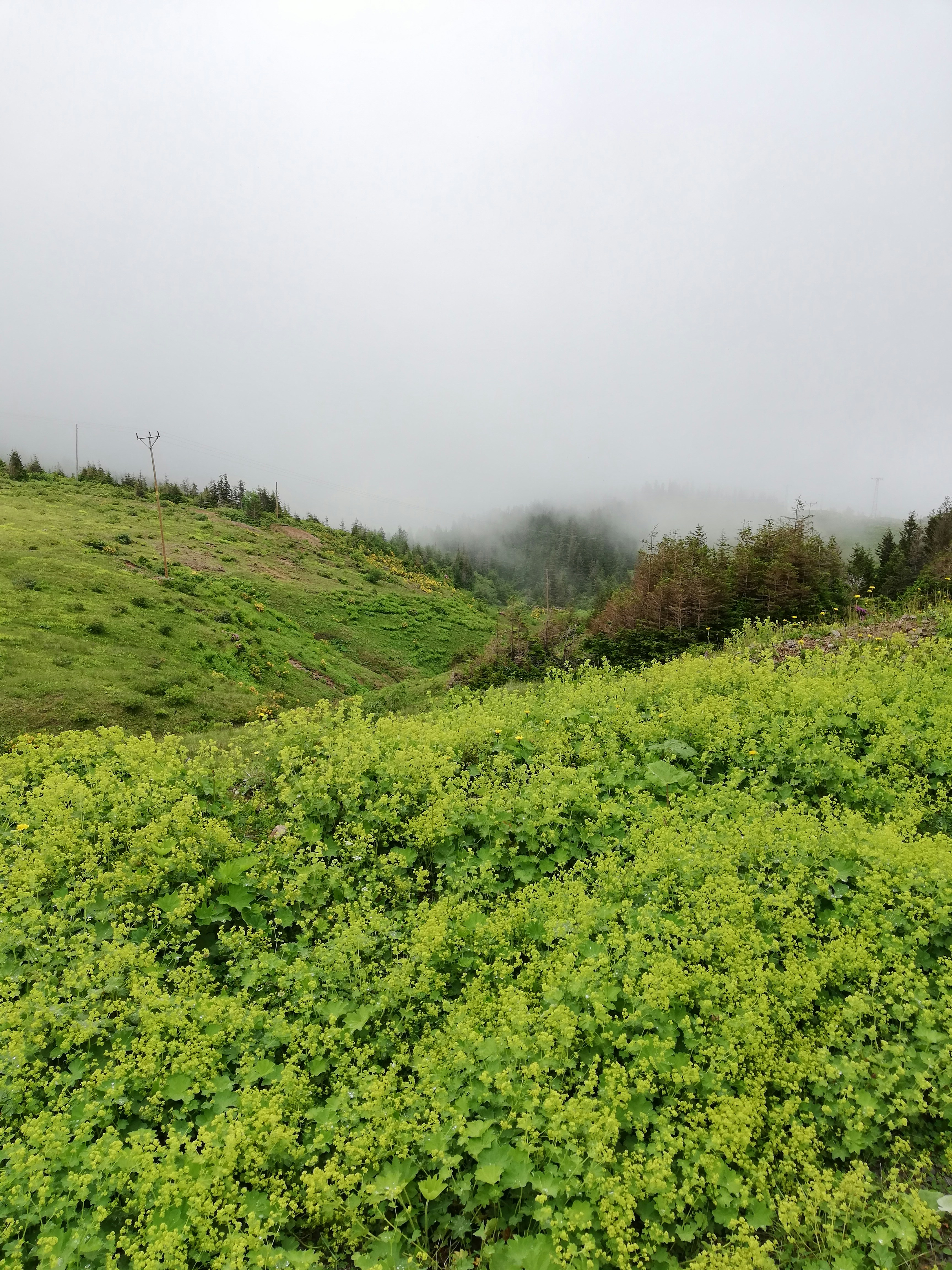 Photo by nurallah_tr