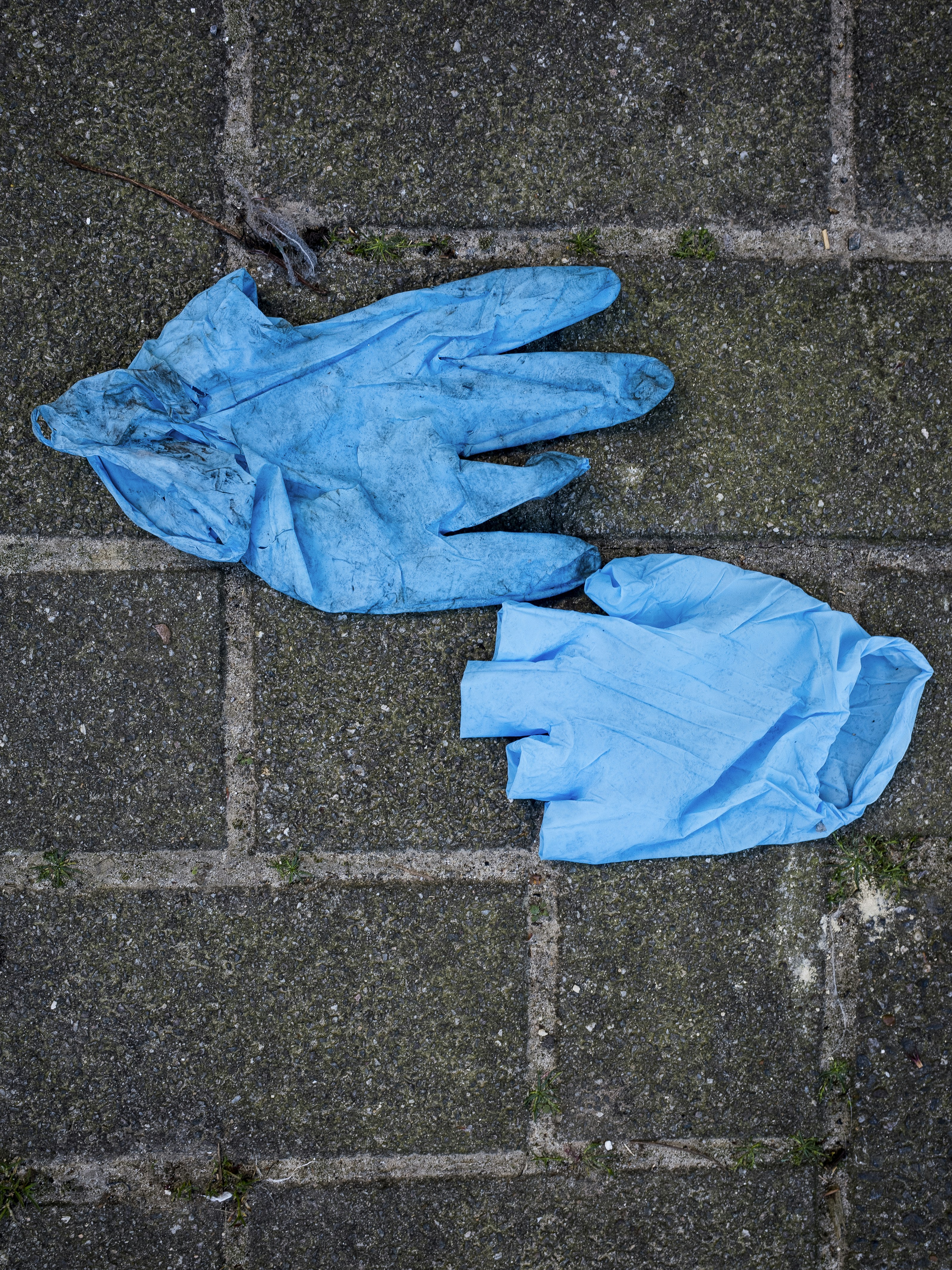 Volunteers wearing gloves and picking up litter during a clean-up drive
