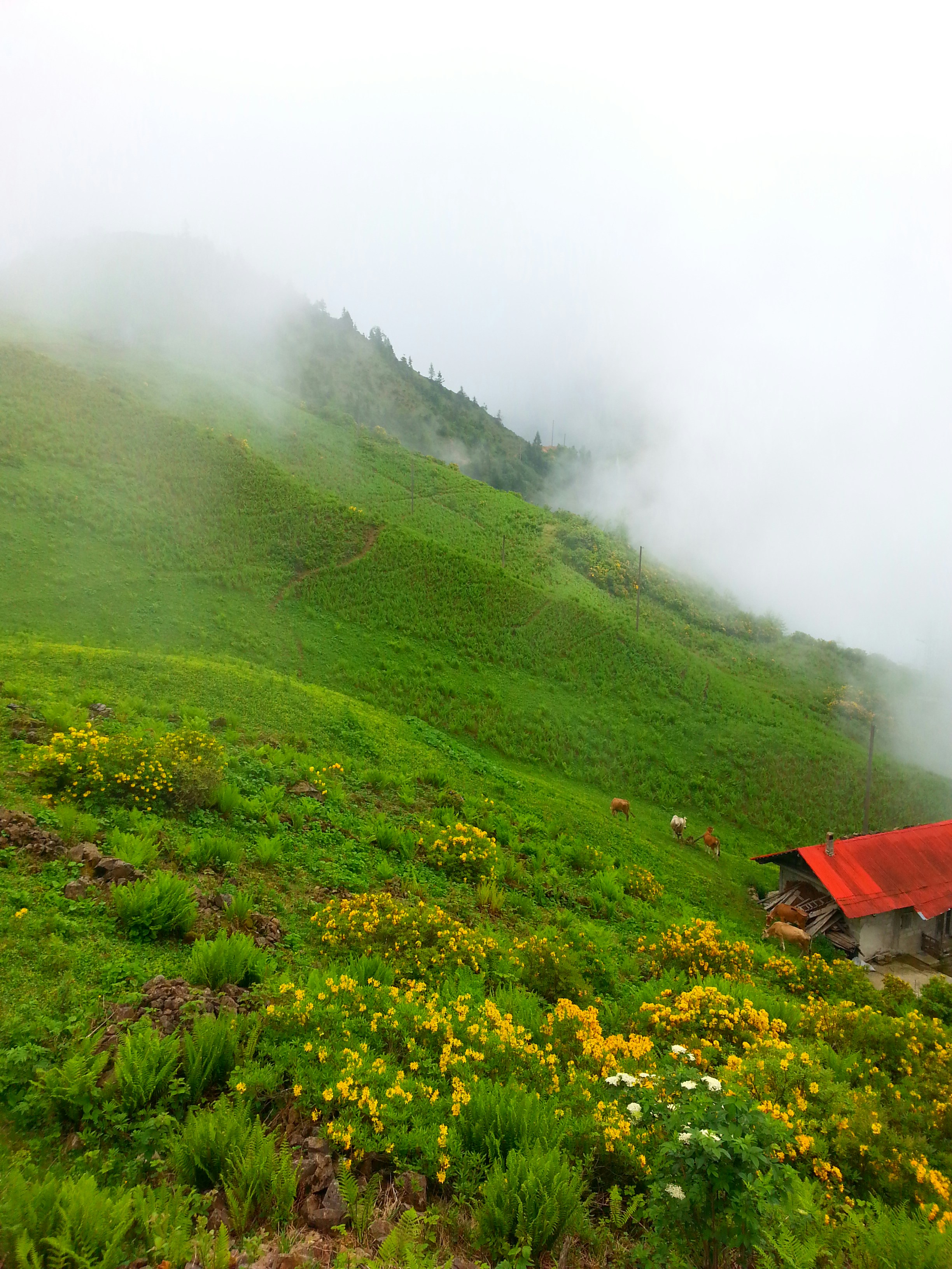 Photo by nurallah_tr