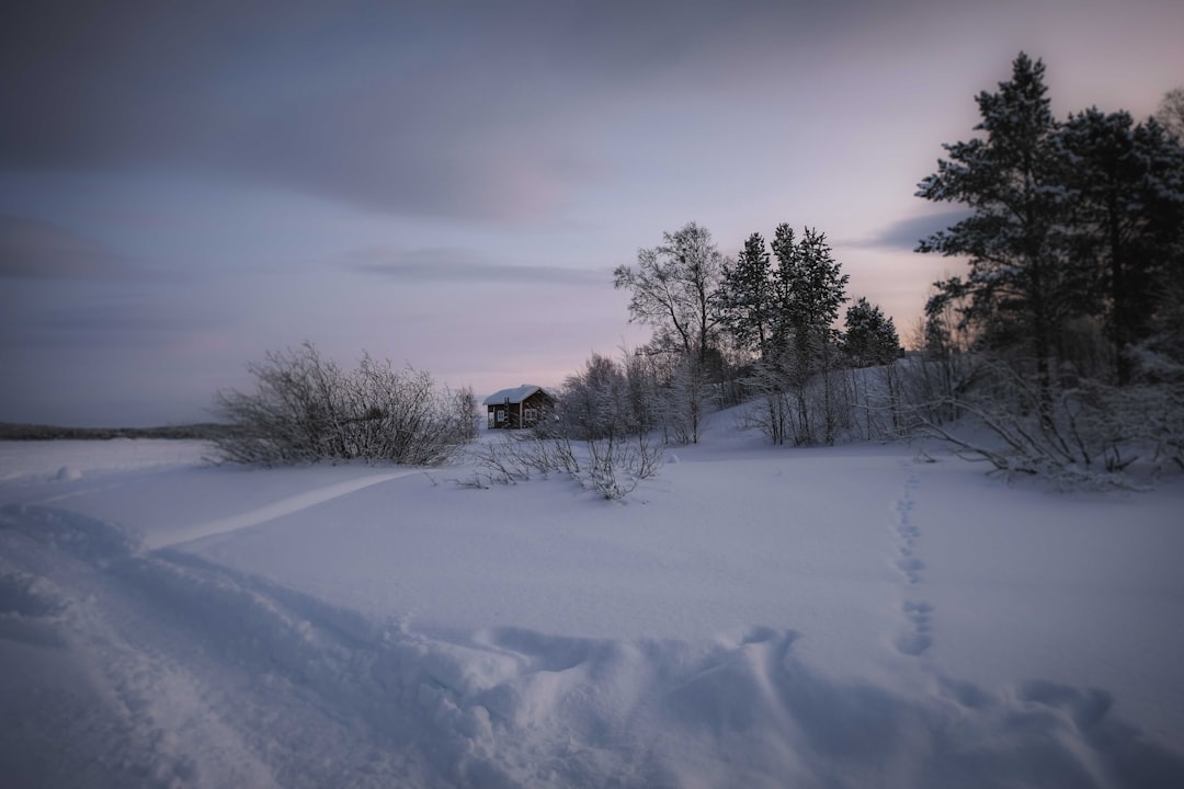 brown house on snow covered ground