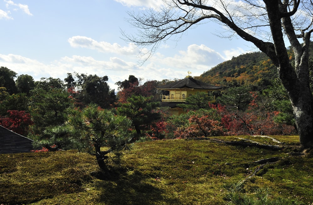 brown house on green grass field near mountain under blue sky during daytime