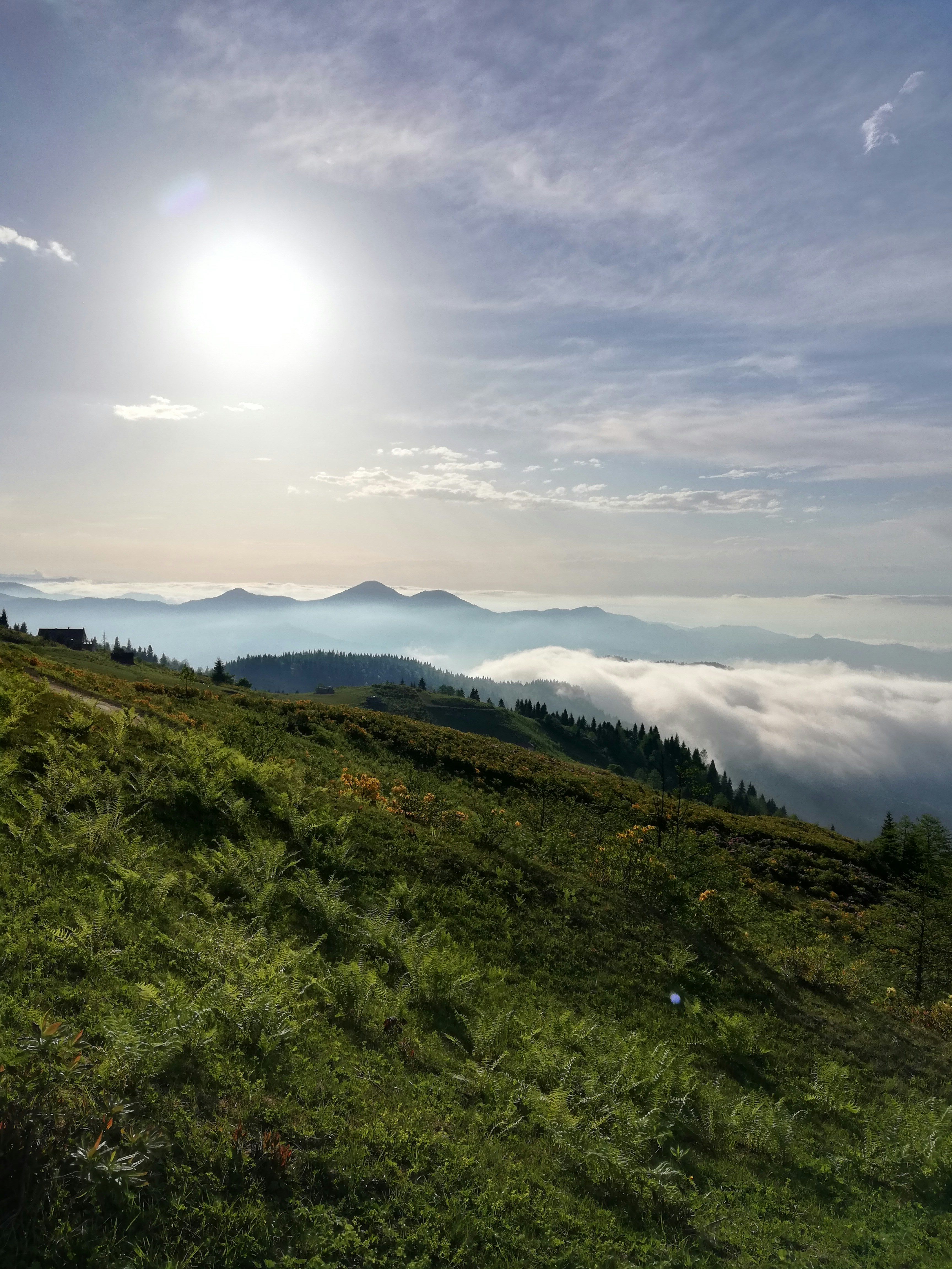 Photo by nurallah_tr