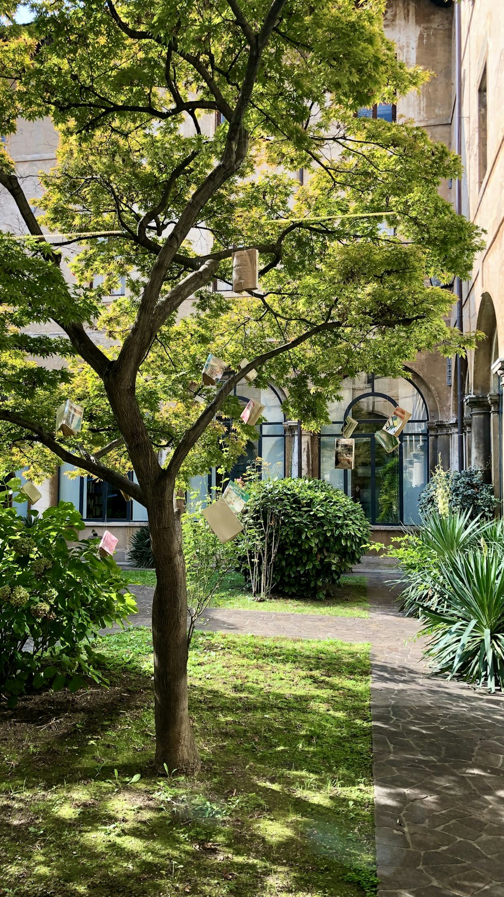 green trees near brown concrete building during daytime