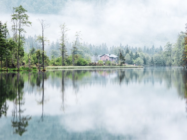 green trees beside lake under white clouds during daytime