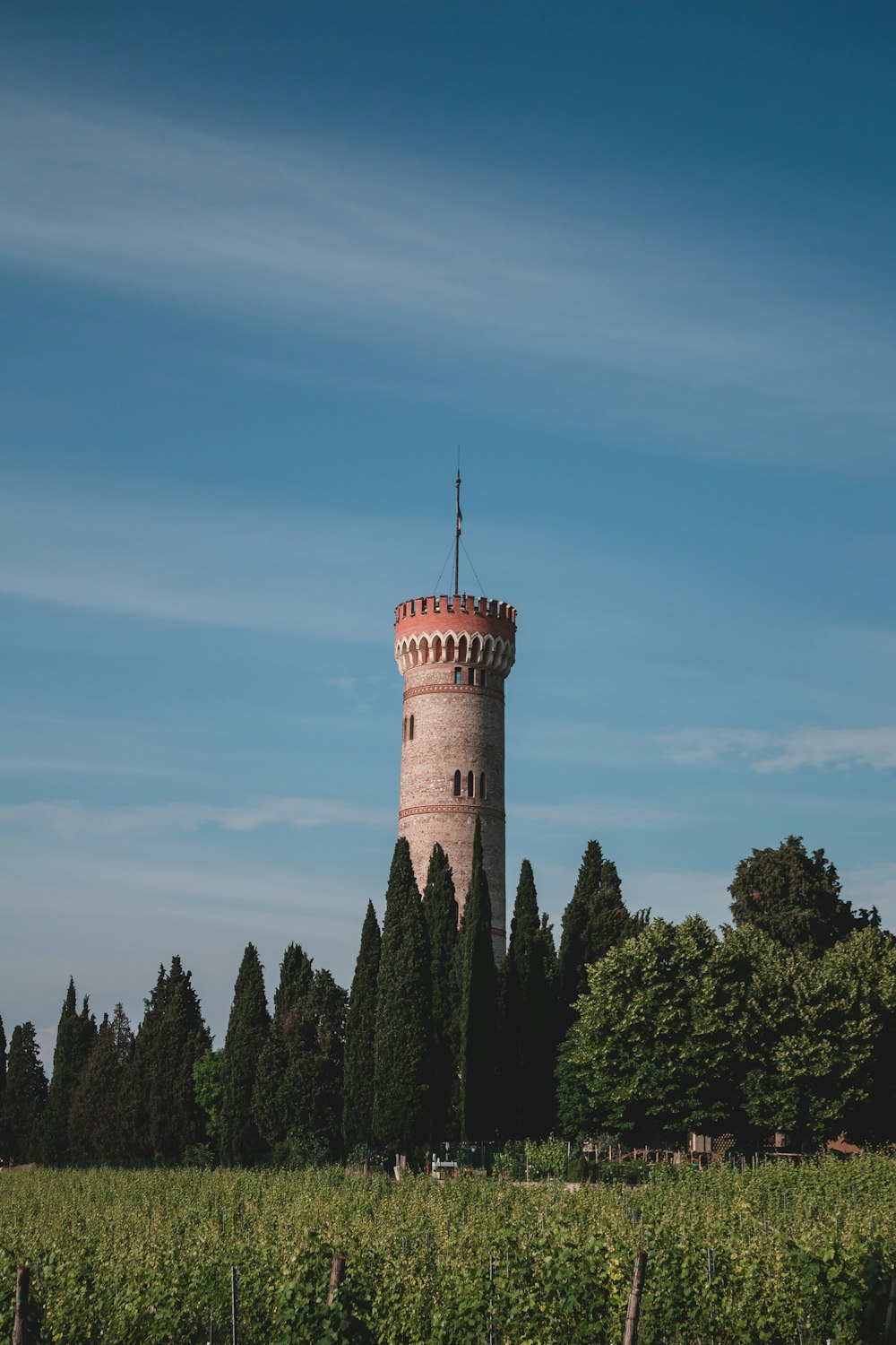 a tall tower sitting in the middle of a lush green field