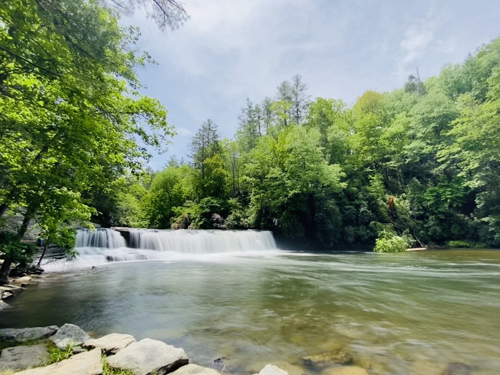 green trees beside river under white clouds during daytime