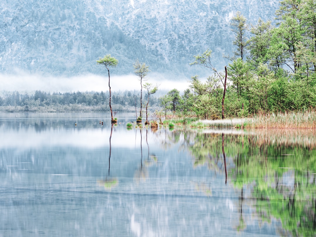 Watercourse photo spot Almsee Hallstatt Austria