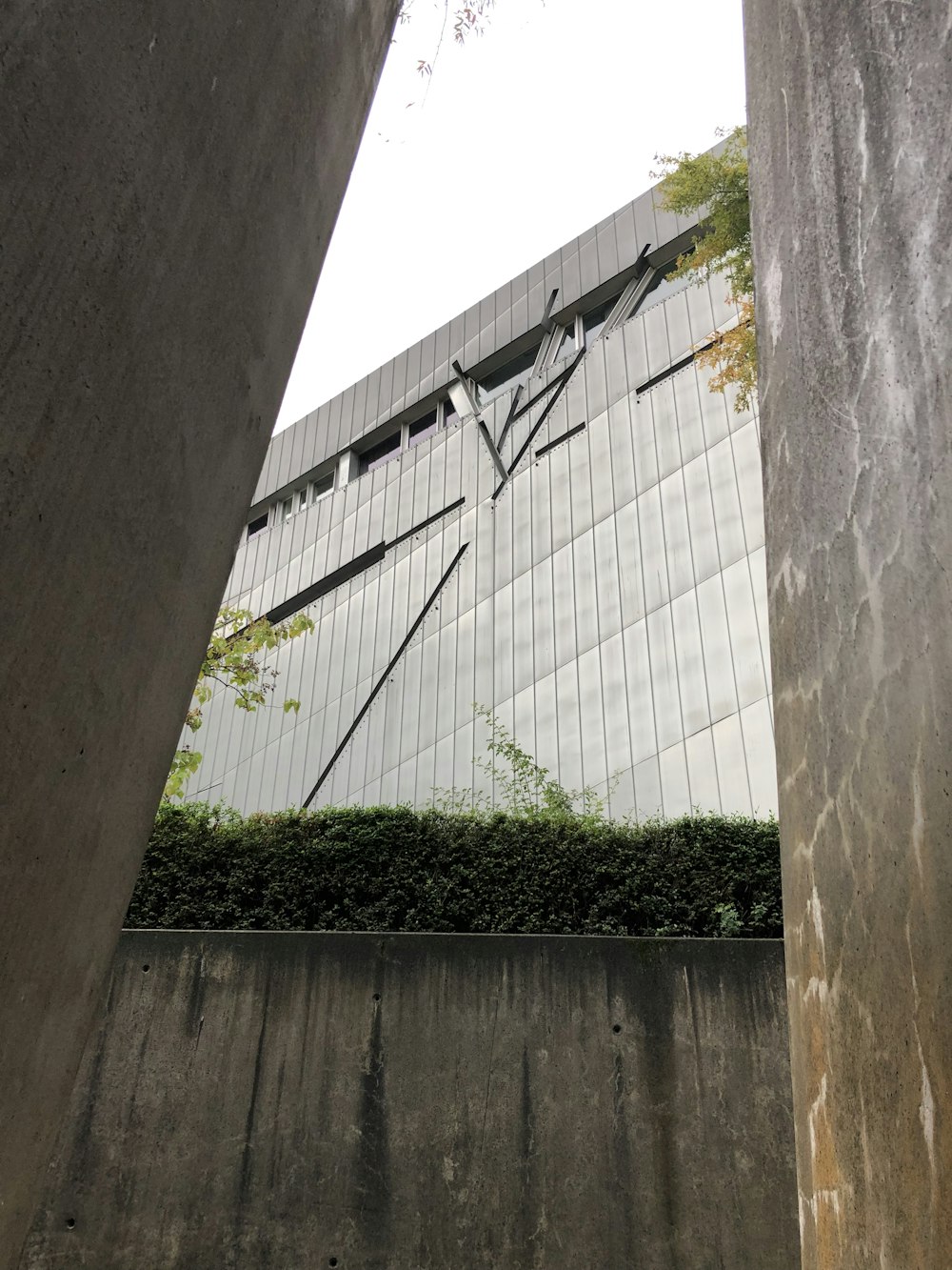 green plants on white concrete wall