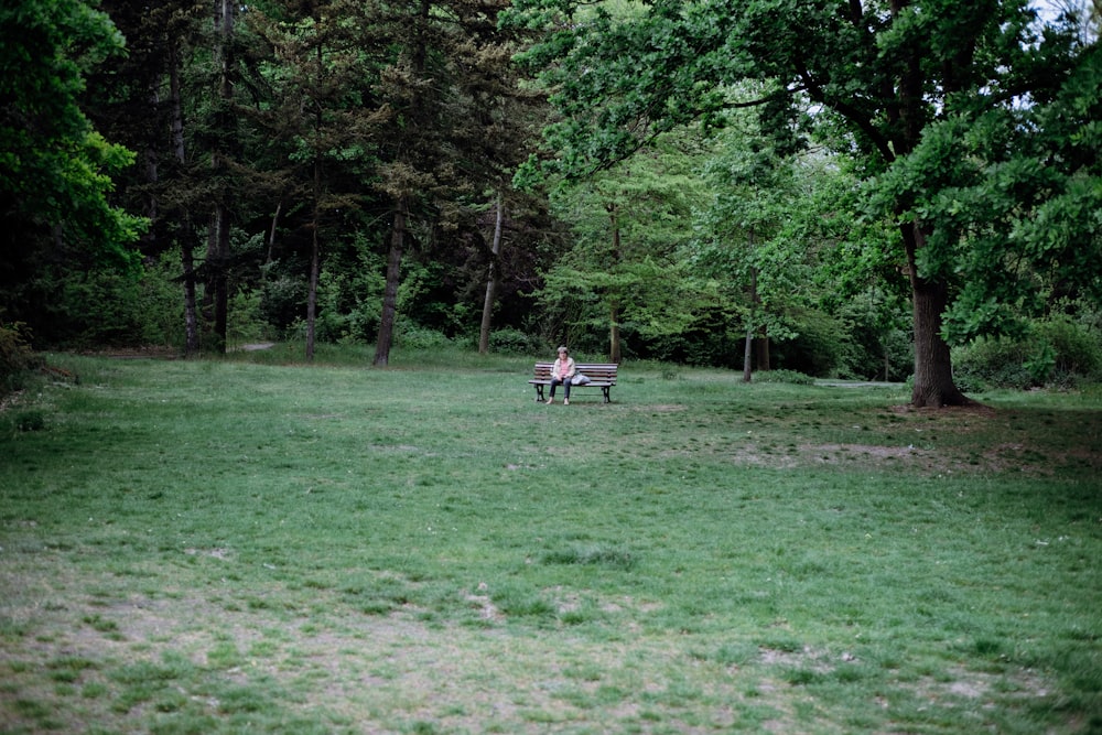persone sedute su un campo di erba verde circondato da alberi verdi durante il giorno