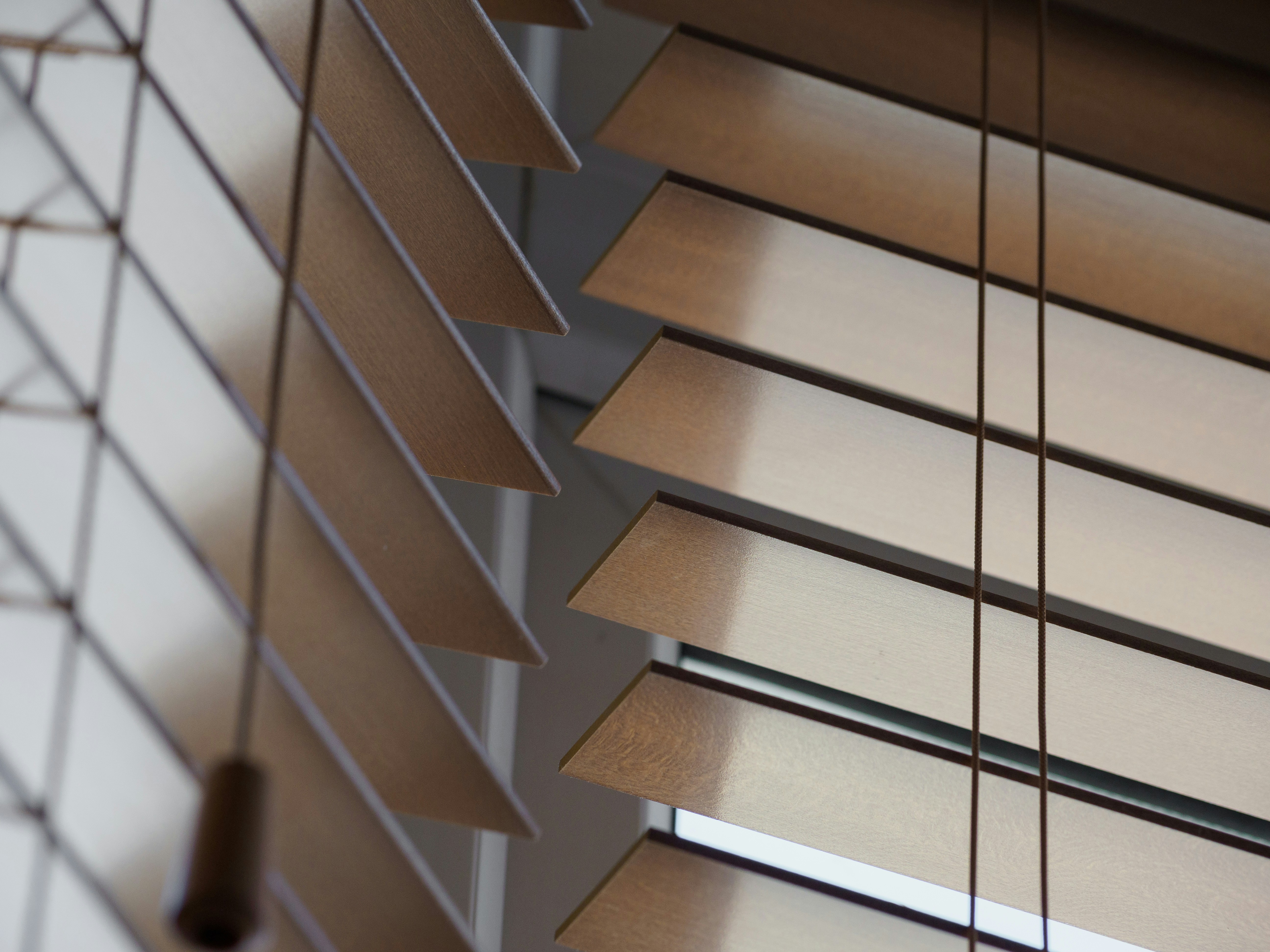 Photo by brett_jordan