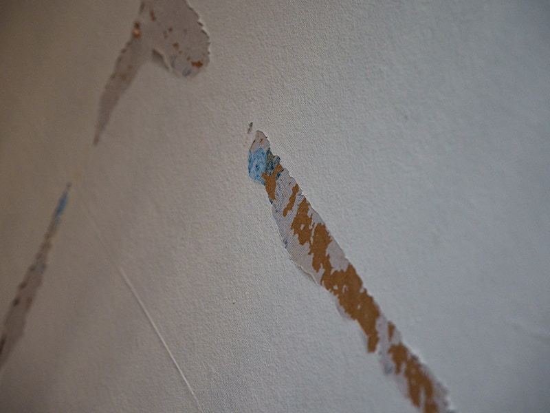Ornamental plaster detail on historic wall