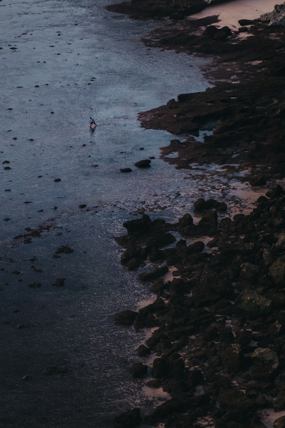 people on beach during daytime