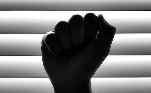 A silhouetted clenched fist is held up against a background of horizontal blinds. The stark contrast between the dark hand and bright background creates a dramatic and striking image.