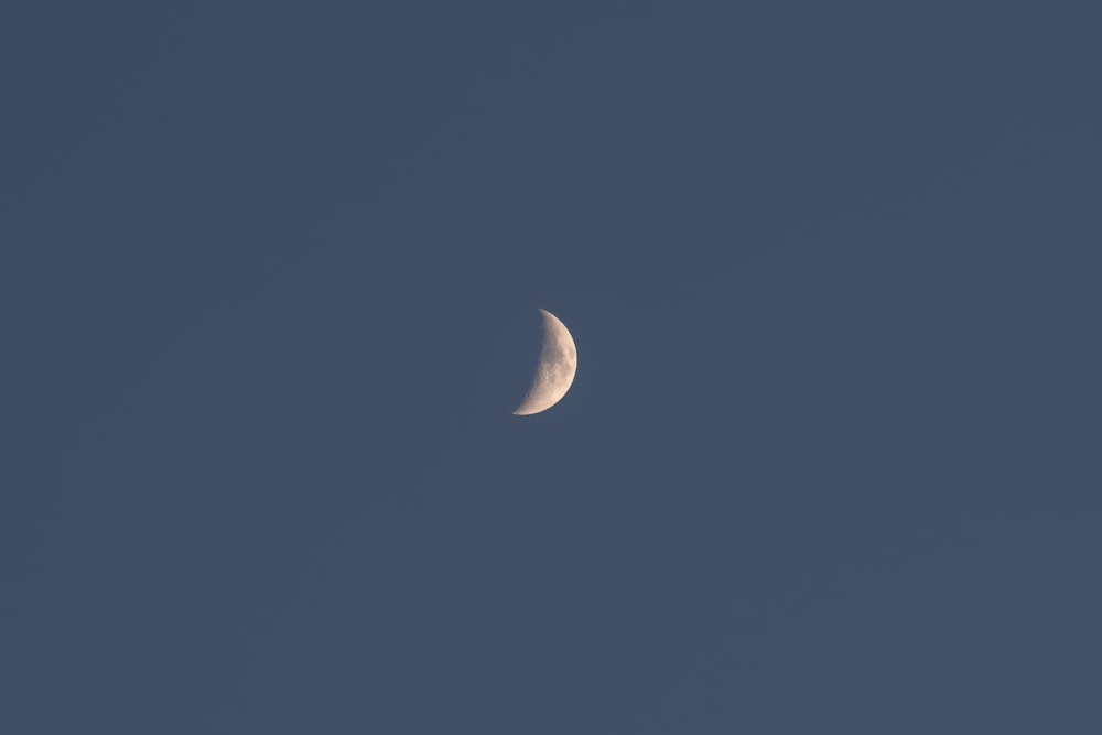 Luna llena en el cielo