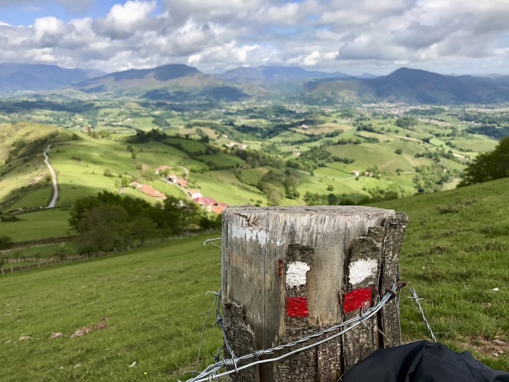 muro di cemento grigio sul campo di erba verde durante il giorno