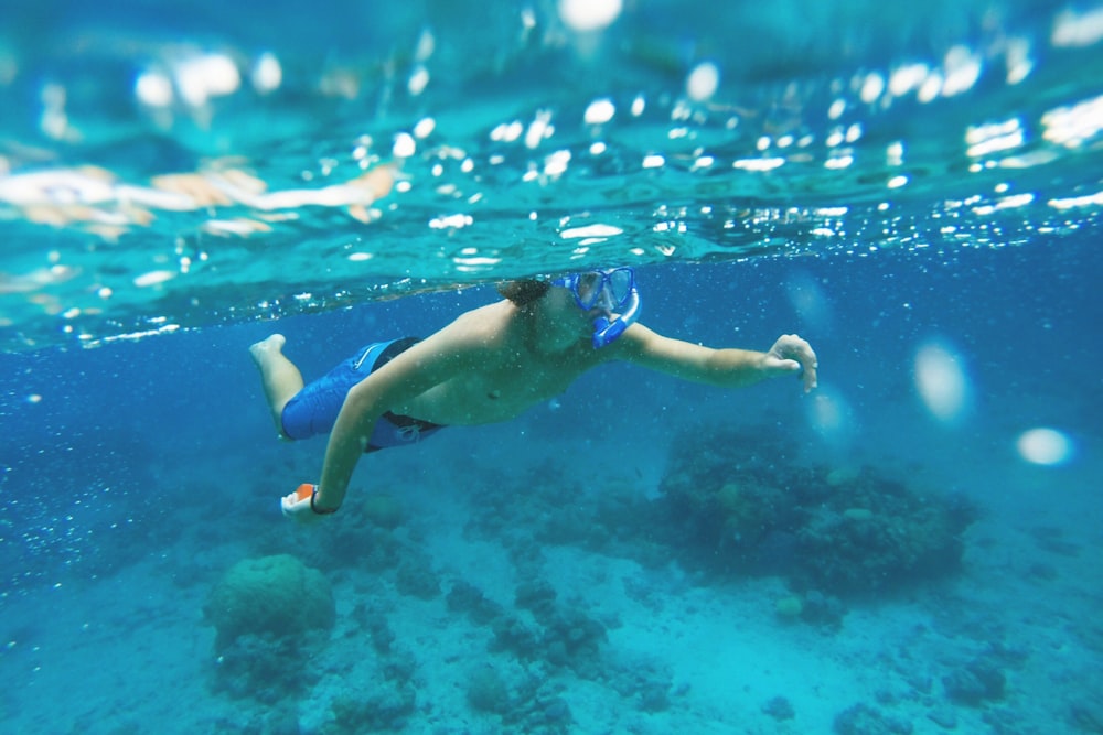 Mujer en bikini azul y blanco nadando en el agua