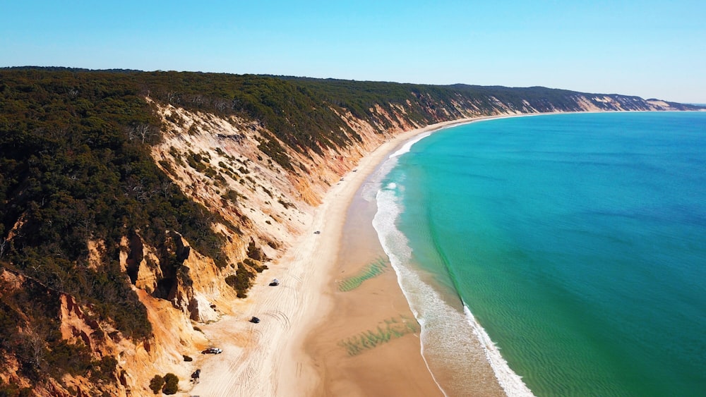 aerial view of beach during daytime