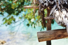 Weathered wooden beams and dried palm leaves create a rustic structure that contrasts with a blurred background of lush greenery and turquoise water, evoking a sense of tranquility and natural beauty.