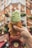 A close-up of a hand holding a fish-shaped waffle cone filled with green soft serve ice cream and a wafer stick. The background shows a beautifully decorated urban building with brick walls and flower boxes.