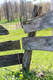 A close-up of a weathered, broken wooden fence in a grassy field. The fence is old and deteriorated, with faded and splintered wood. In the background, there is a lush green field with scattered trees that are beginning to sprout new leaves, indicating springtime.