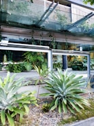 Modern building facade using lightweight dry construction materials with green plants around.