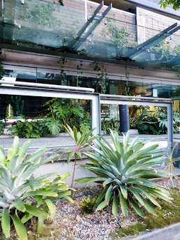 A modern building facade with large glass panels and metal framework is adorned with lush greenery. Various types of tropical plants and ferns are growing both at ground level and cascading from elevated planters.