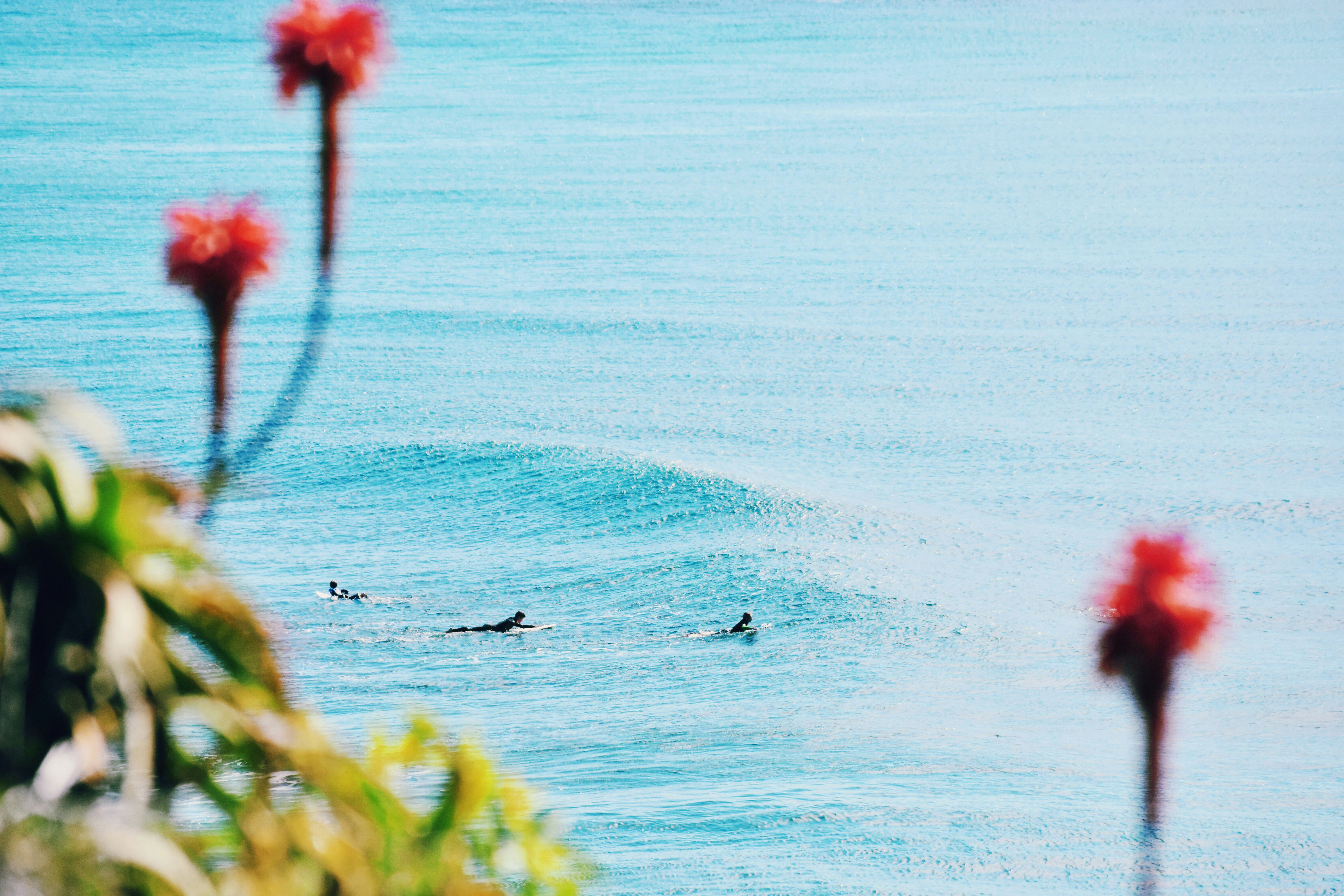 Surfers in the Ocean at Moffat Beach on the Sunshine Coast, Queensland