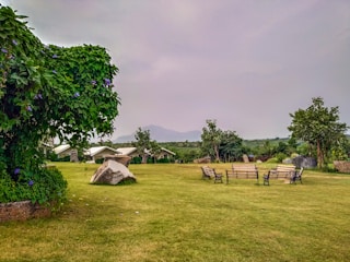 Wide green lawns with rustic wooden benches and colorful flowers under a bright sky.