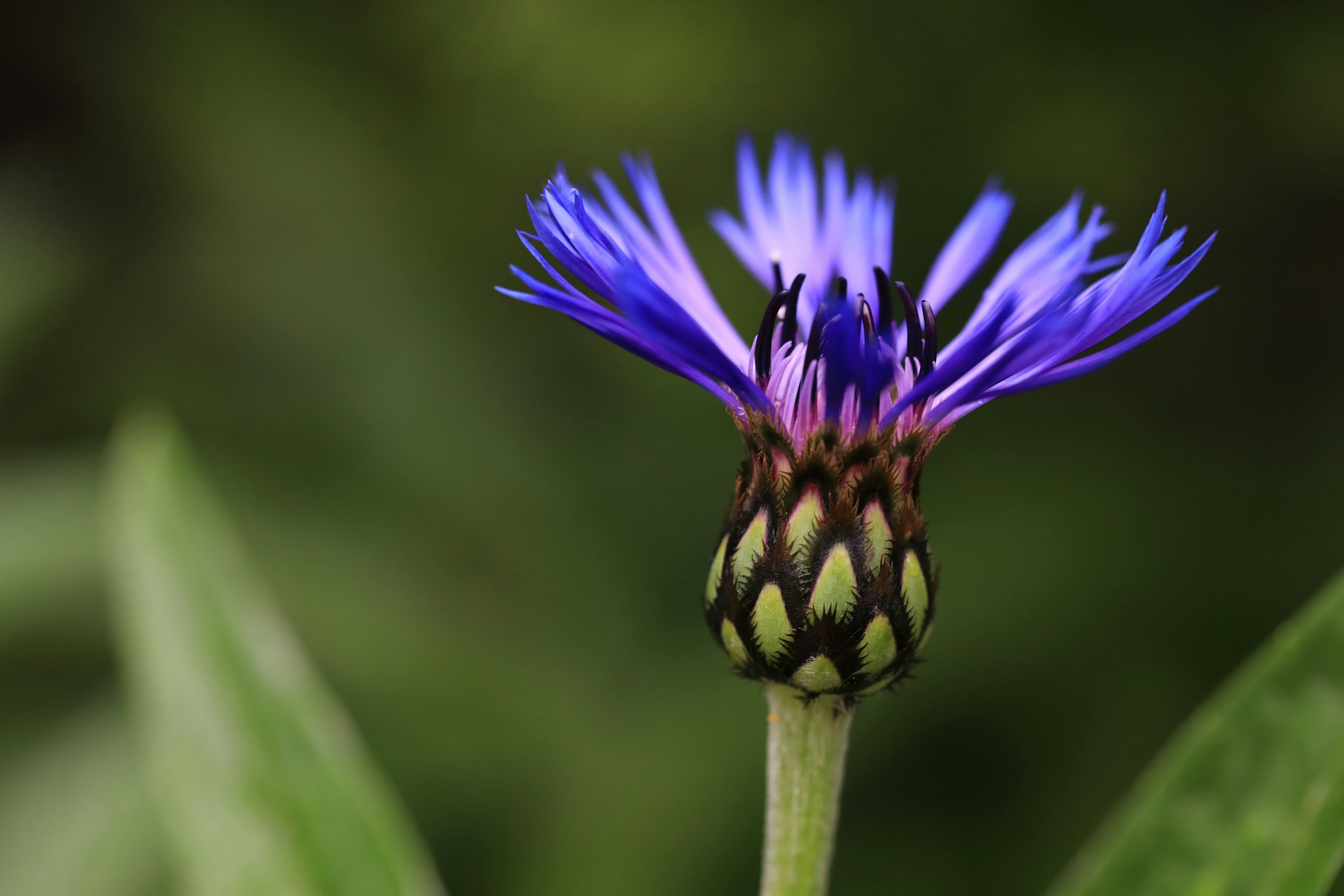 Photo by richardworks