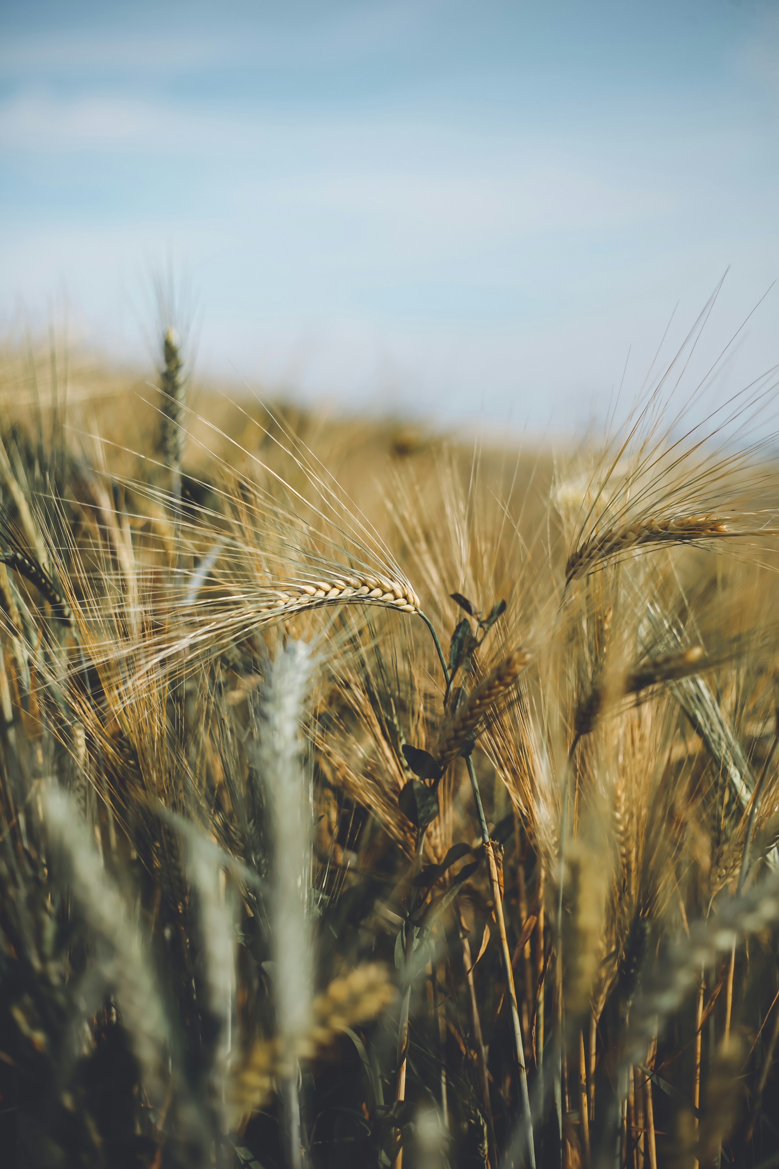 Photo by i_am_simoesse