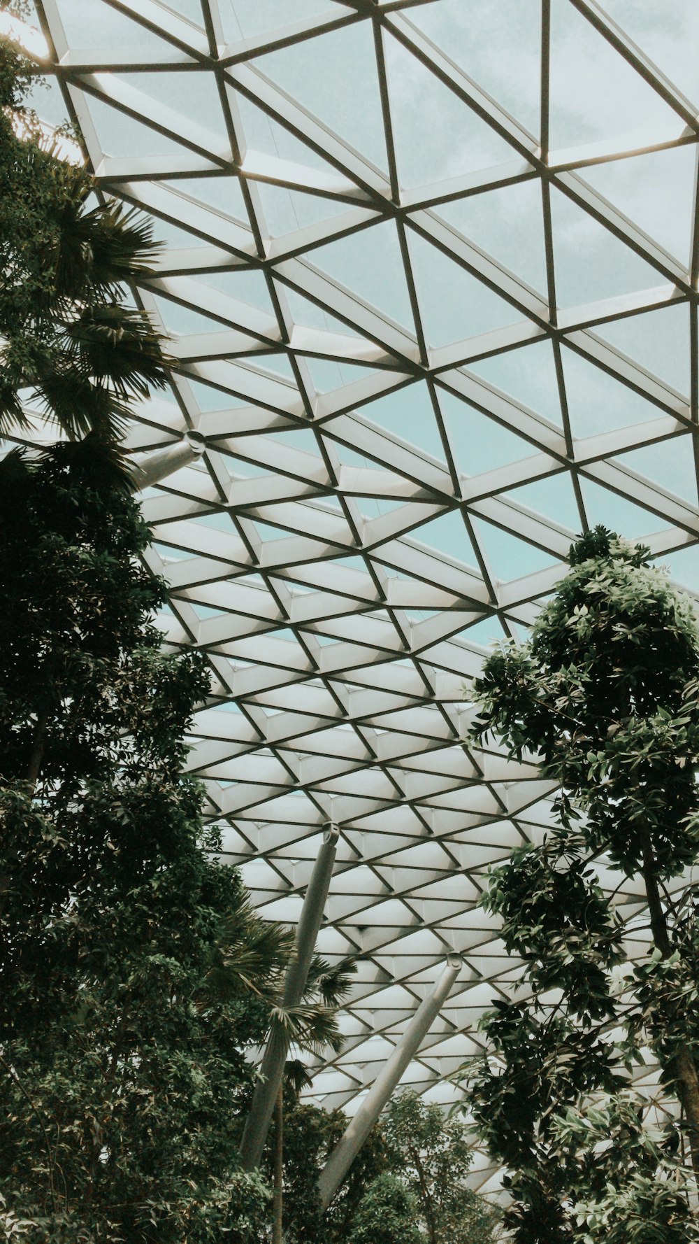 green tree under white metal roof