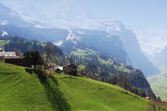 green grass field and mountains during daytime in Wengen Switzerland