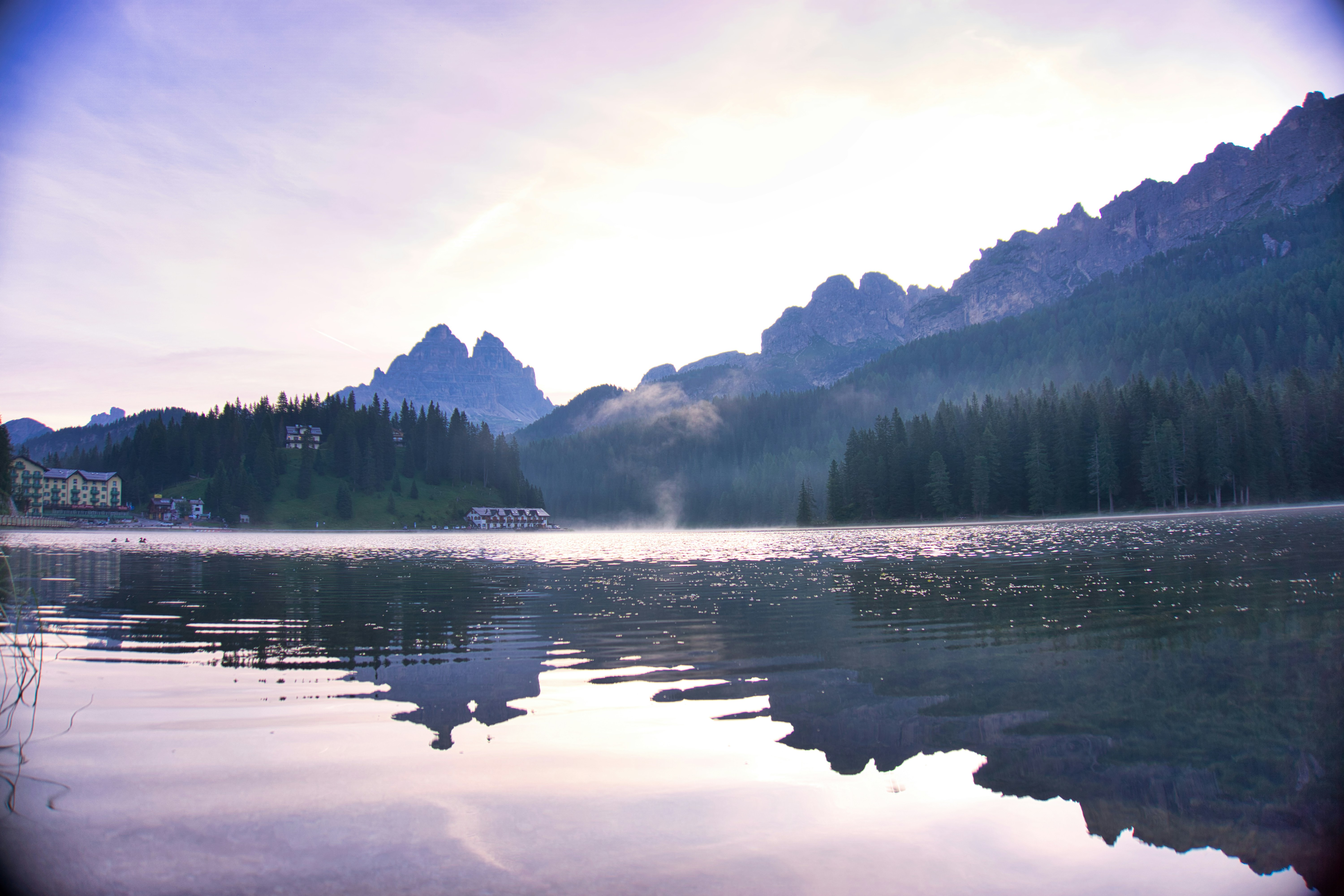 green trees near lake during daytime, Morning fog over a mountain lake.