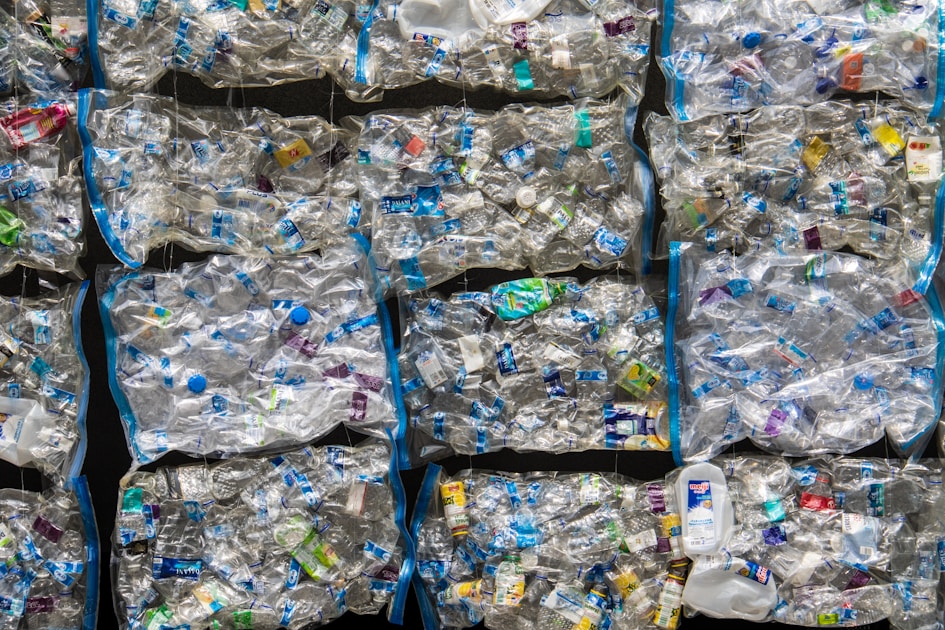 Recycling for cash: 6 things in your house you can turn into money (and why your brain resists)