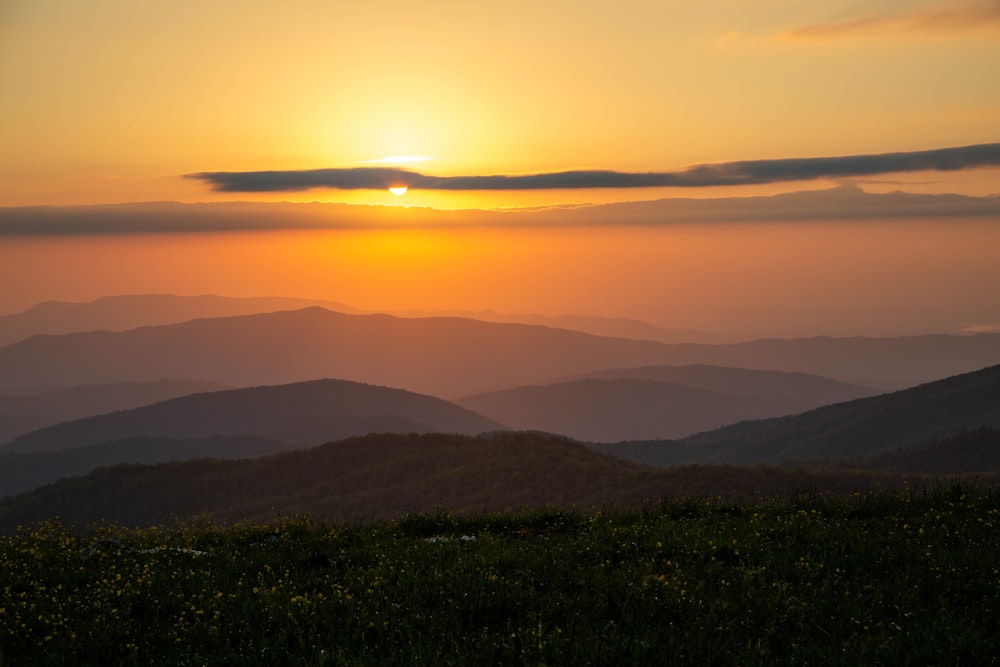 Champ d’herbe verte près des montagnes au coucher du soleil