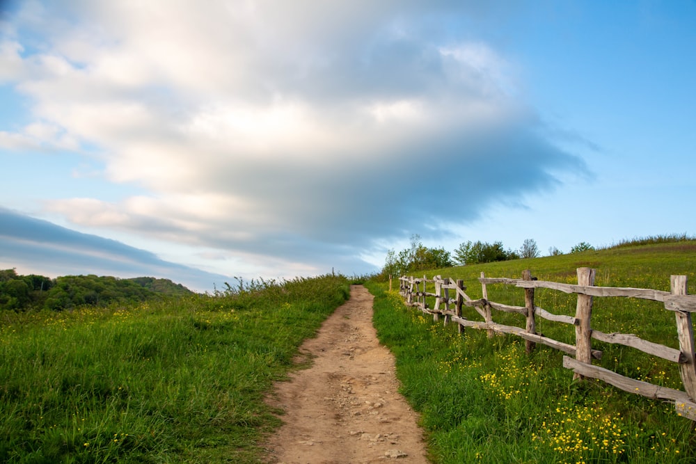 brown dirt road between green grass field under blue sky and white clouds during daytime