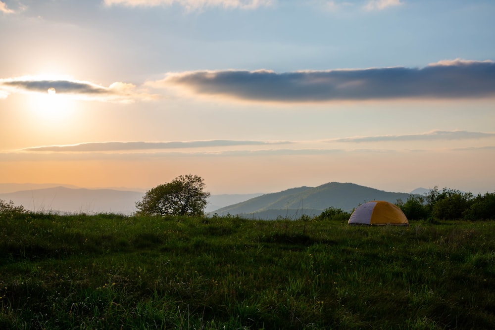 white tent on green grass field during daytime