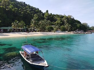 white and blue boat on sea during daytime