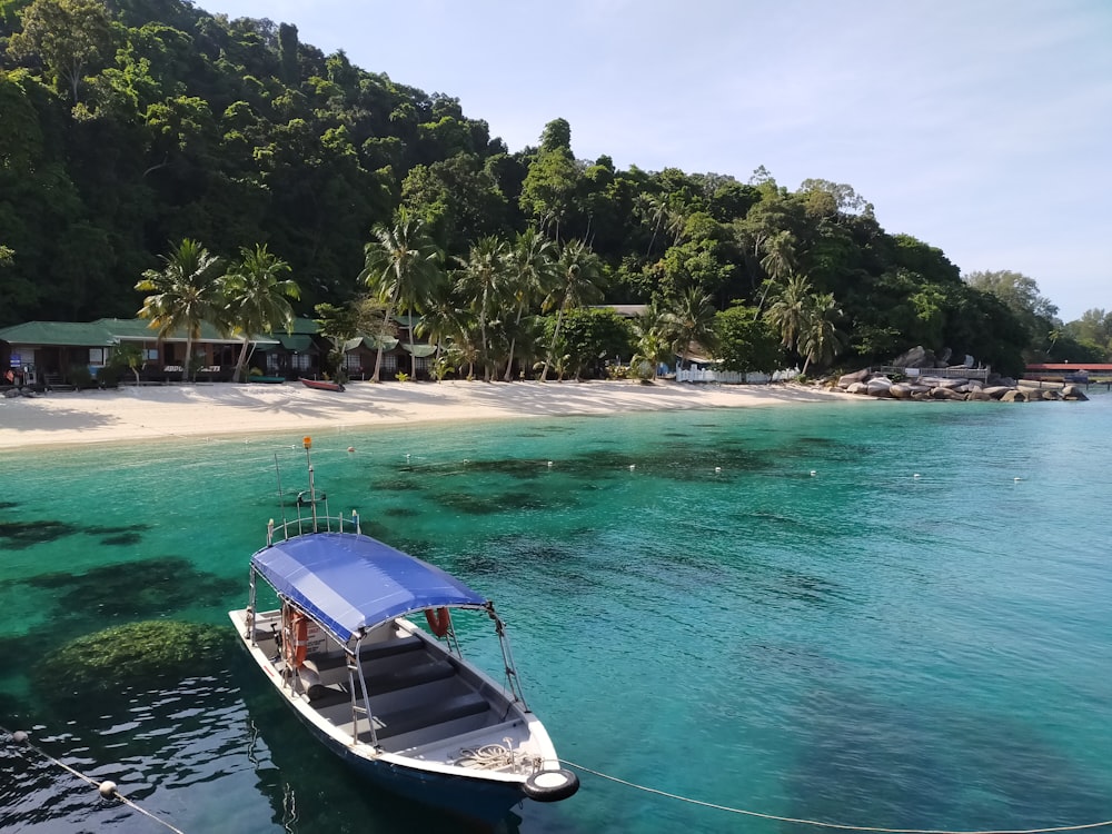 white and blue boat on sea during daytime