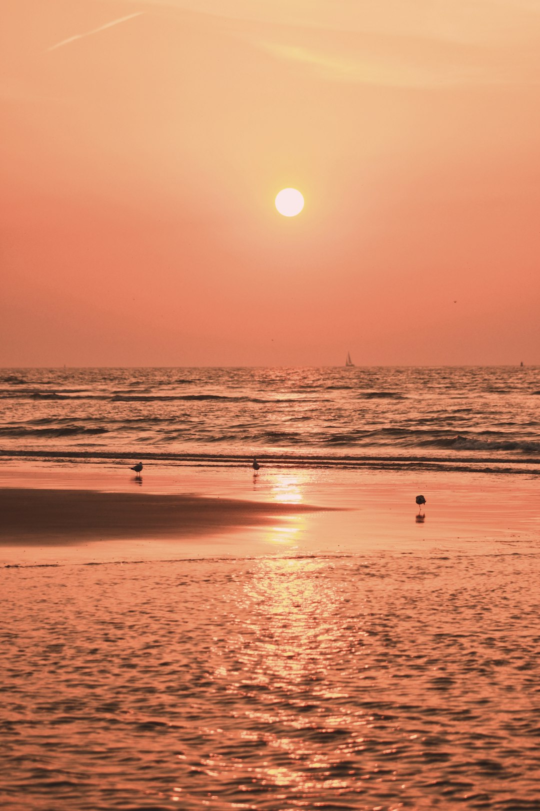 Ocean photo spot Dunkerque Cap Blanc-Nez