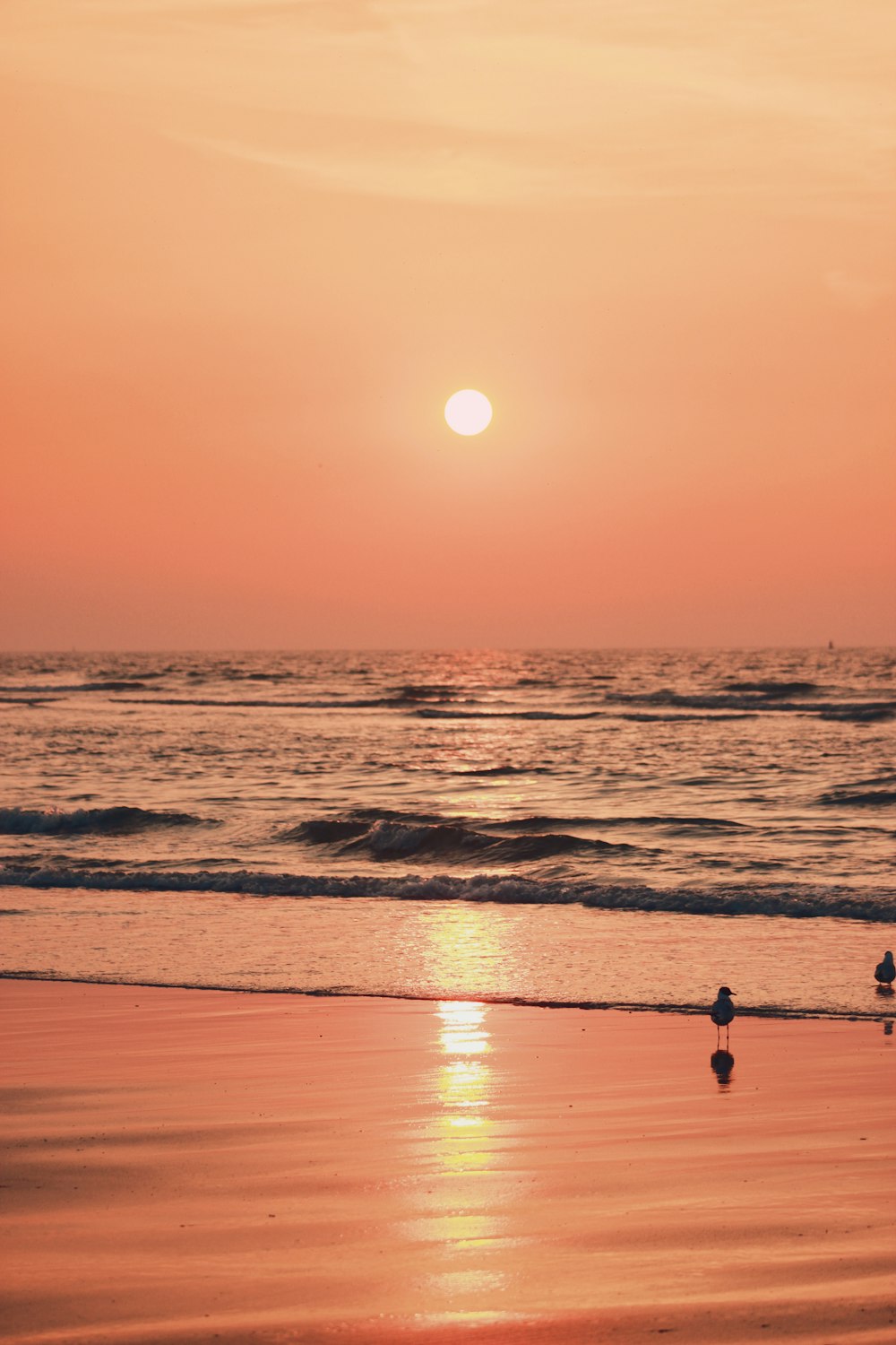 silhouette of man and woman walking on beach during sunset