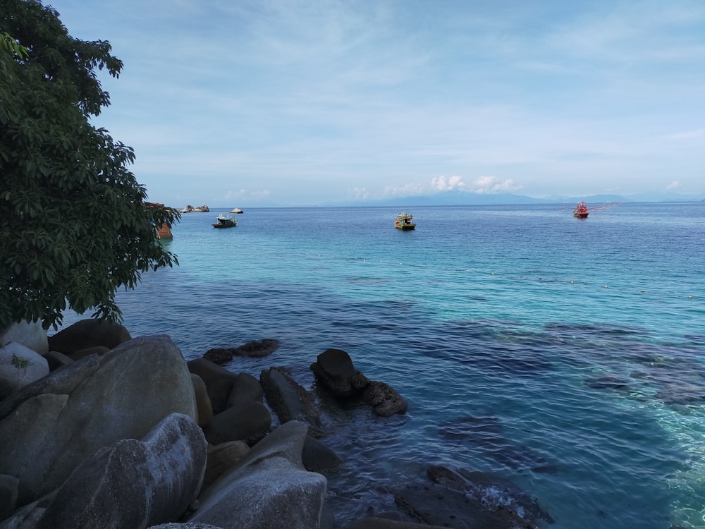 people swimming on sea during daytime