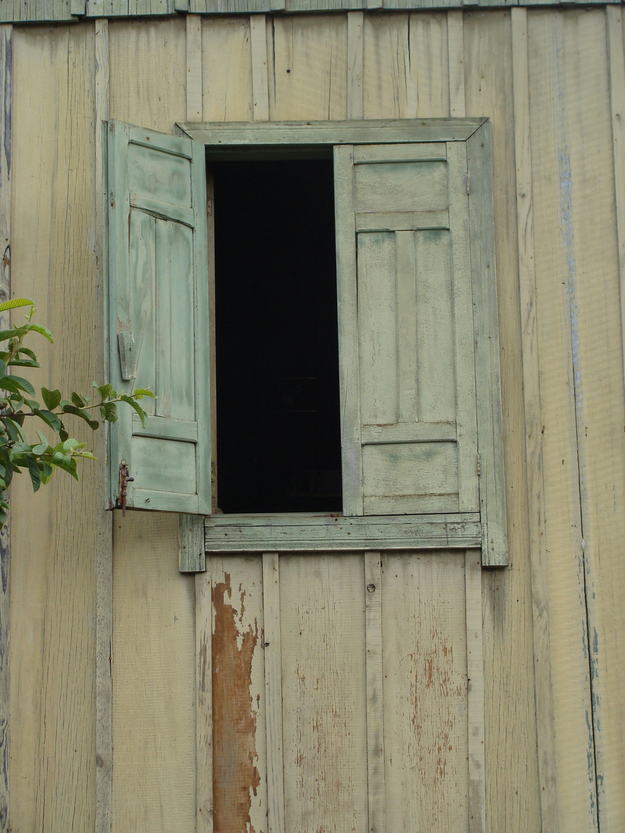 Photo by martinscardoso_unsplash