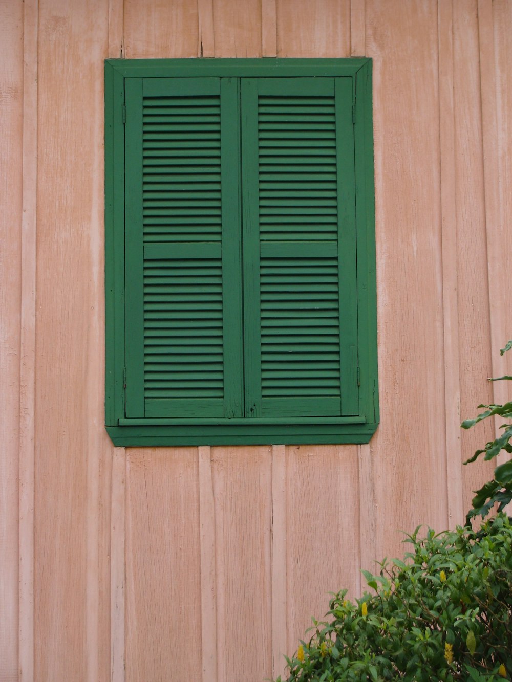 green window blinds on pink wooden wall