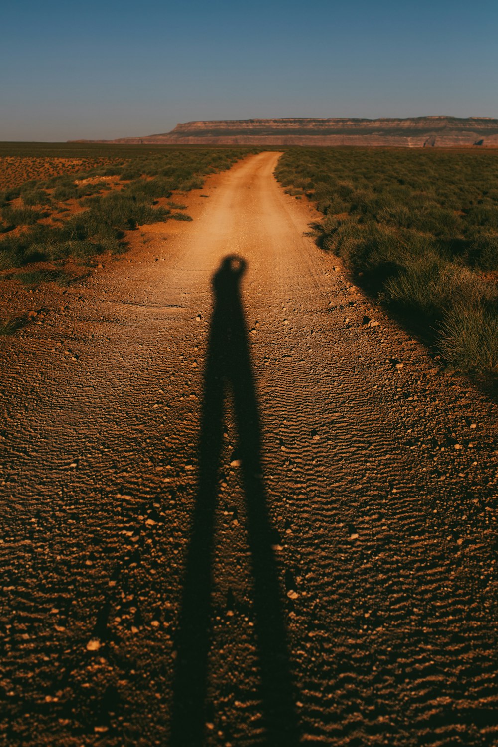 person walking on brown sand during daytime