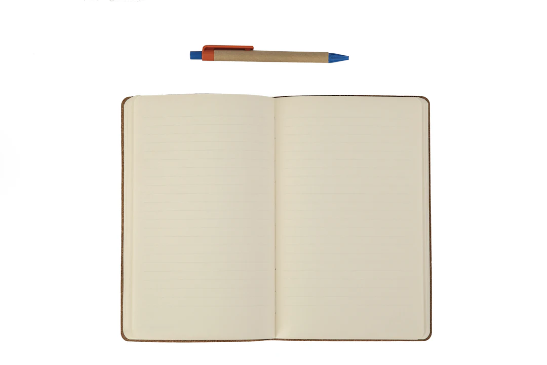 Sales script notebook